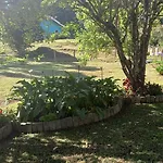 Chale Doce Beija-Flor
