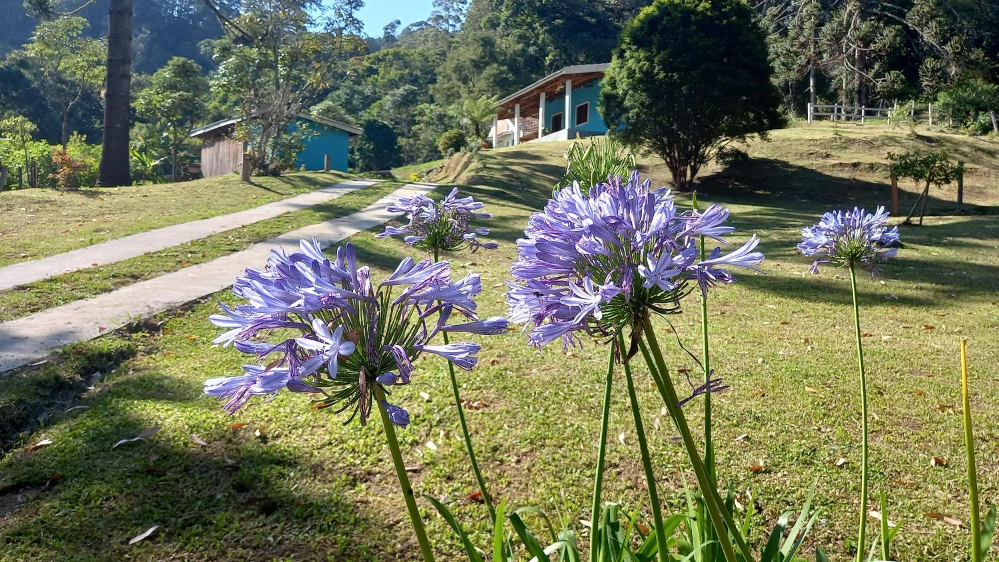 Chalé Chale Doce Beija-flor *